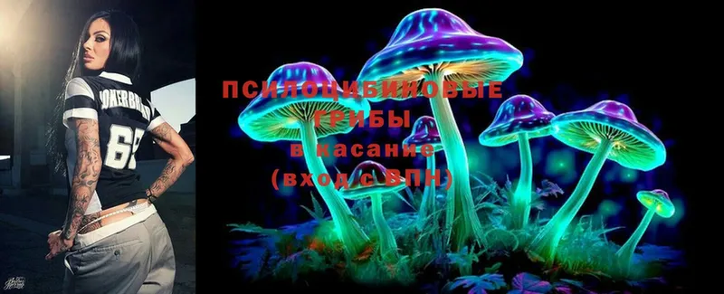 ссылка на мегу ссылки  Рыбинск  Псилоцибиновые грибы MAGIC MUSHROOMS 